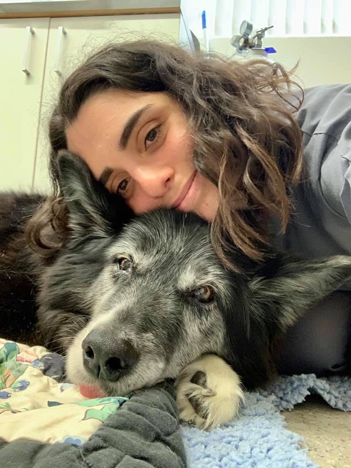 Southside Animal Hospital Cronulla 4