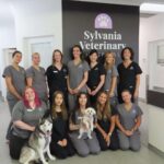 Sylvania Vet 4 150x150