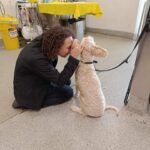 Sylvania Vet 6 150x150