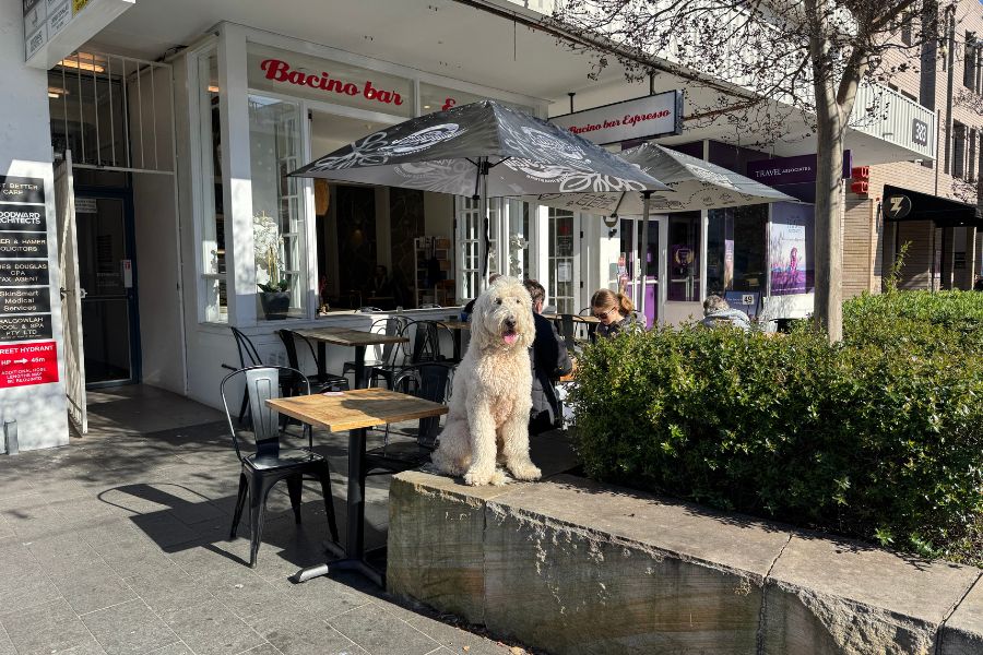 Bacino Balgowlah 1 2