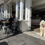 Bacino Balgowlah 2 2 150x150