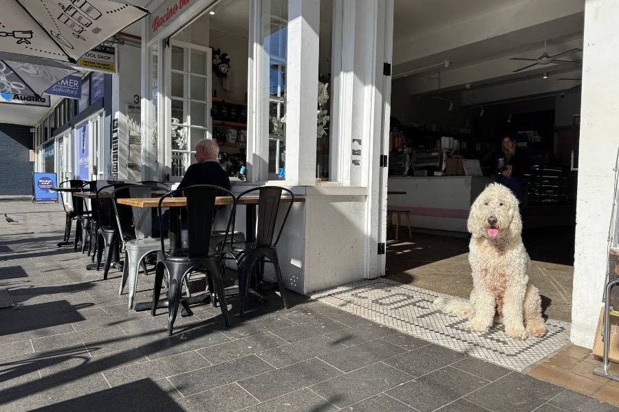 Bacino Balgowlah 2 2