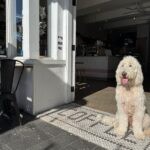 Bacino Balgowlah 3 150x150