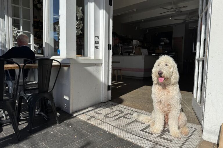 Bacino Balgowlah 3 768x512