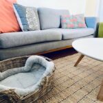 Cottage On A Large Sunny Block 167 150x150