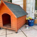 Cottage On A Large Sunny Block 28 150x150