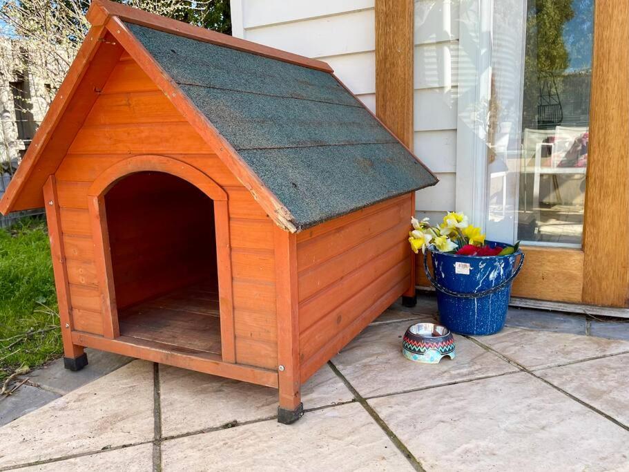 Cottage On A Large Sunny Block 28