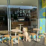 Ickle Lumi 1 150x150