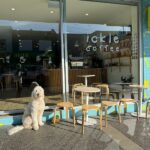 Ickle Lumi 2 150x150