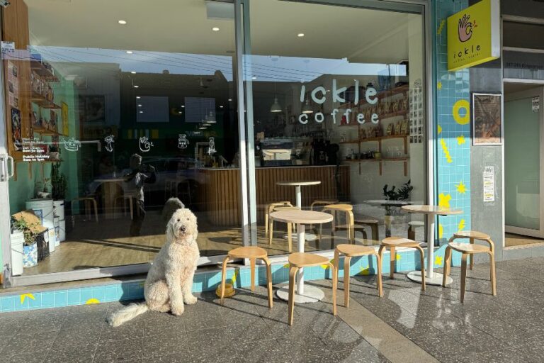 Ickle Lumi 2 768x512