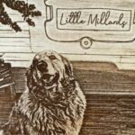 Little Millards 3 150x150