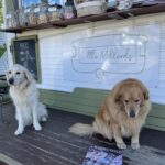 Little Millards 4 150x150