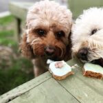 Little Millards 5 150x150