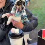 Little Millards 7 150x150