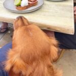 Longboat Cafe 4 150x150