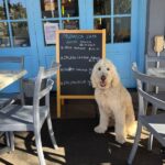 Mezzapica 10 150x150