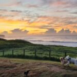 Nomad Creperie 2 150x150