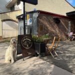 Oak Davies 10 2 150x150