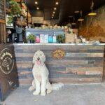 Oak Davies 11 2 150x150