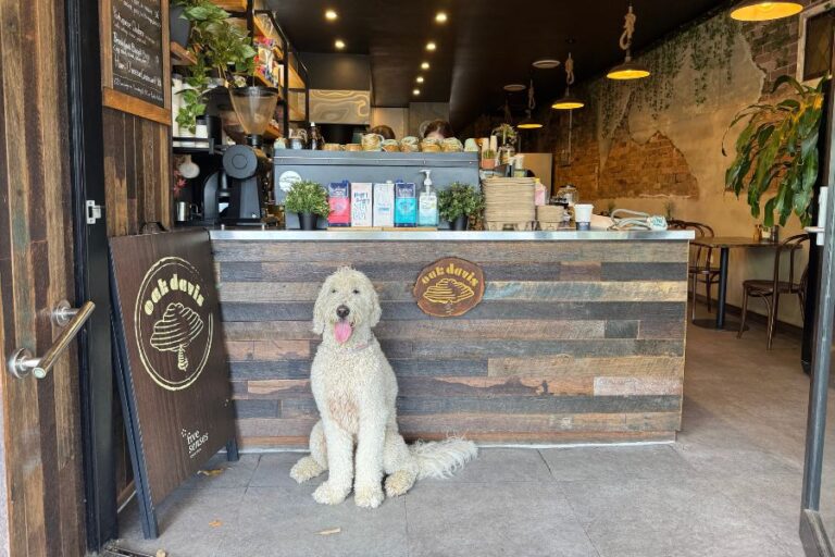 Oak Davies 11 2 768x512