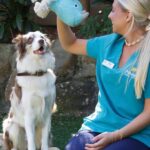 Pittwater Animal Hospital 10 150x150