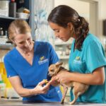 Pittwater Animal Hospital 3 150x150