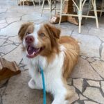 Shoal Bay Country Club 12 150x150