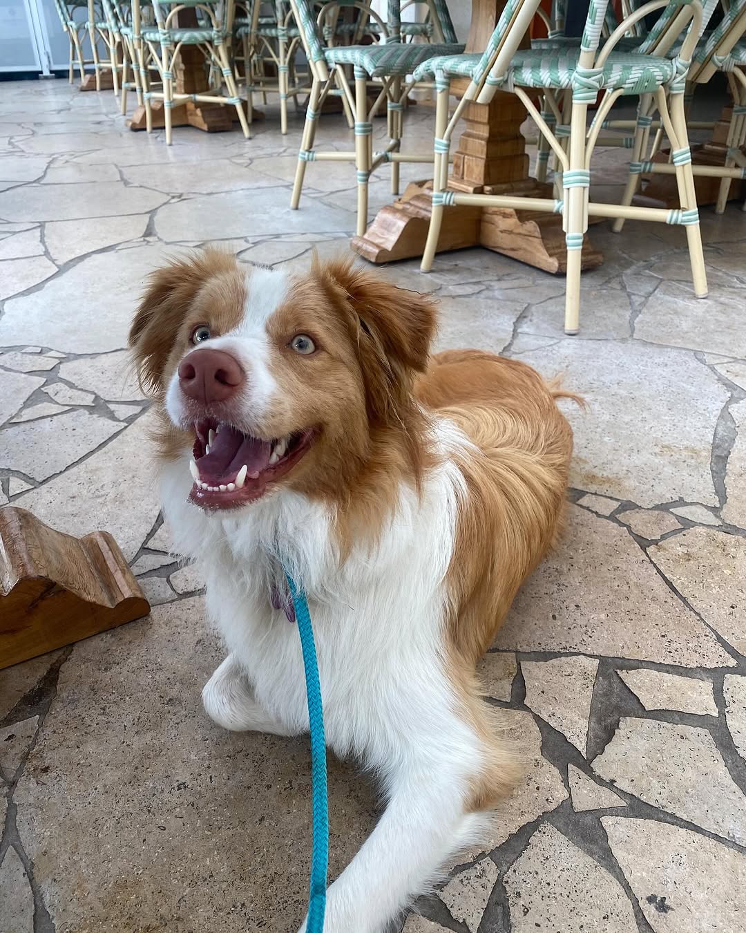 Shoal Bay Country Club 12