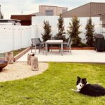 Sweet Tide O Moyne 12 150x150