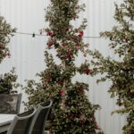 Sweet Tide O Moyne 14 150x150