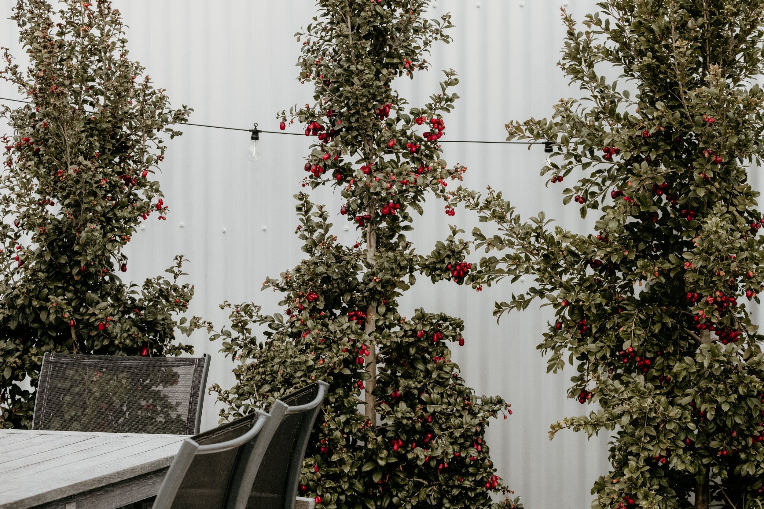 Sweet Tide O Moyne 14