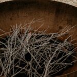 Sweet Tide O Moyne 15 150x150