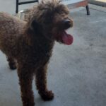 Village Grind 3 150x150