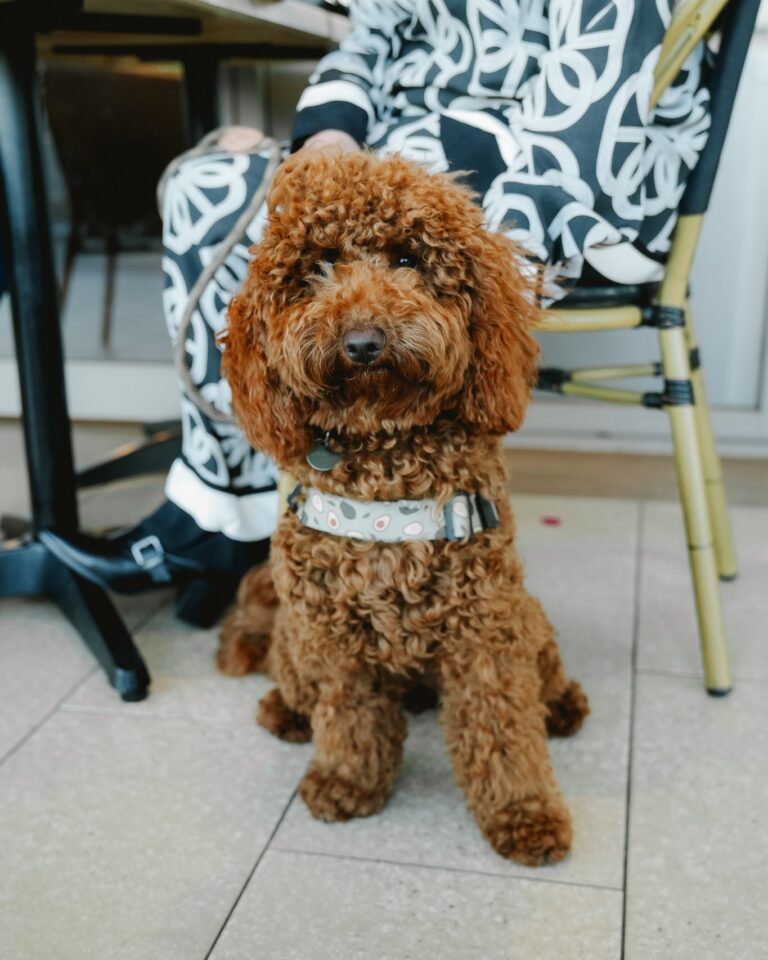 Zenith Cafe 1 768x960