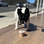 Zenith Cafe 3 150x150