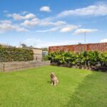 A Pawfect Coastal Escape 13 150x150