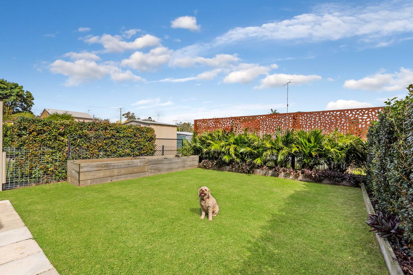 A Pawfect Coastal Escape 13