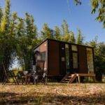 Bamboo Grove 1 150x150