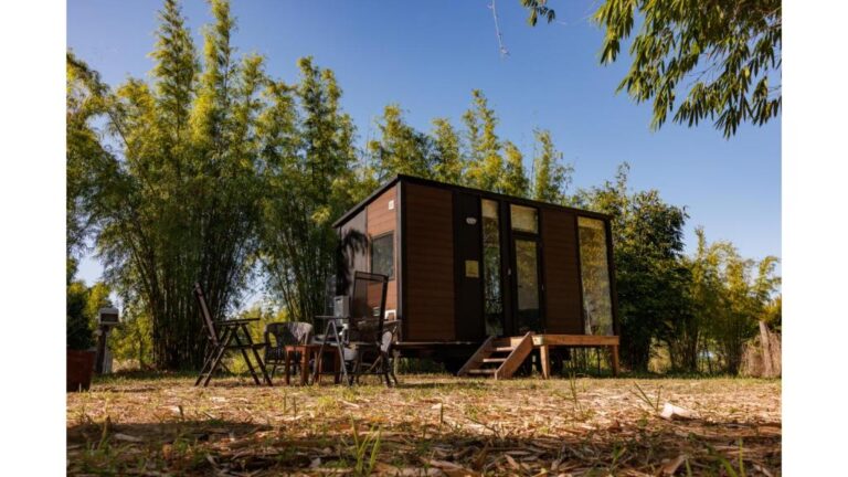 Bamboo Grove 1 768x432