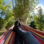 Bamboo Grove 13 150x150