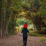 Bamboo Grove 8 150x150