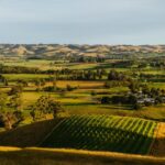 Belrose Estate 15 150x150