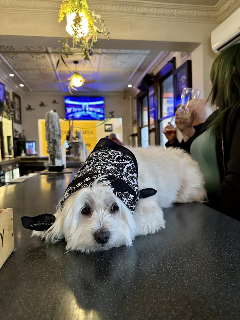 Carlisle Castle Hotel 3 768x1024