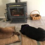 Dumplings Den 96 150x150