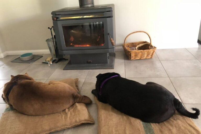 Dumplings Den 96 768x512