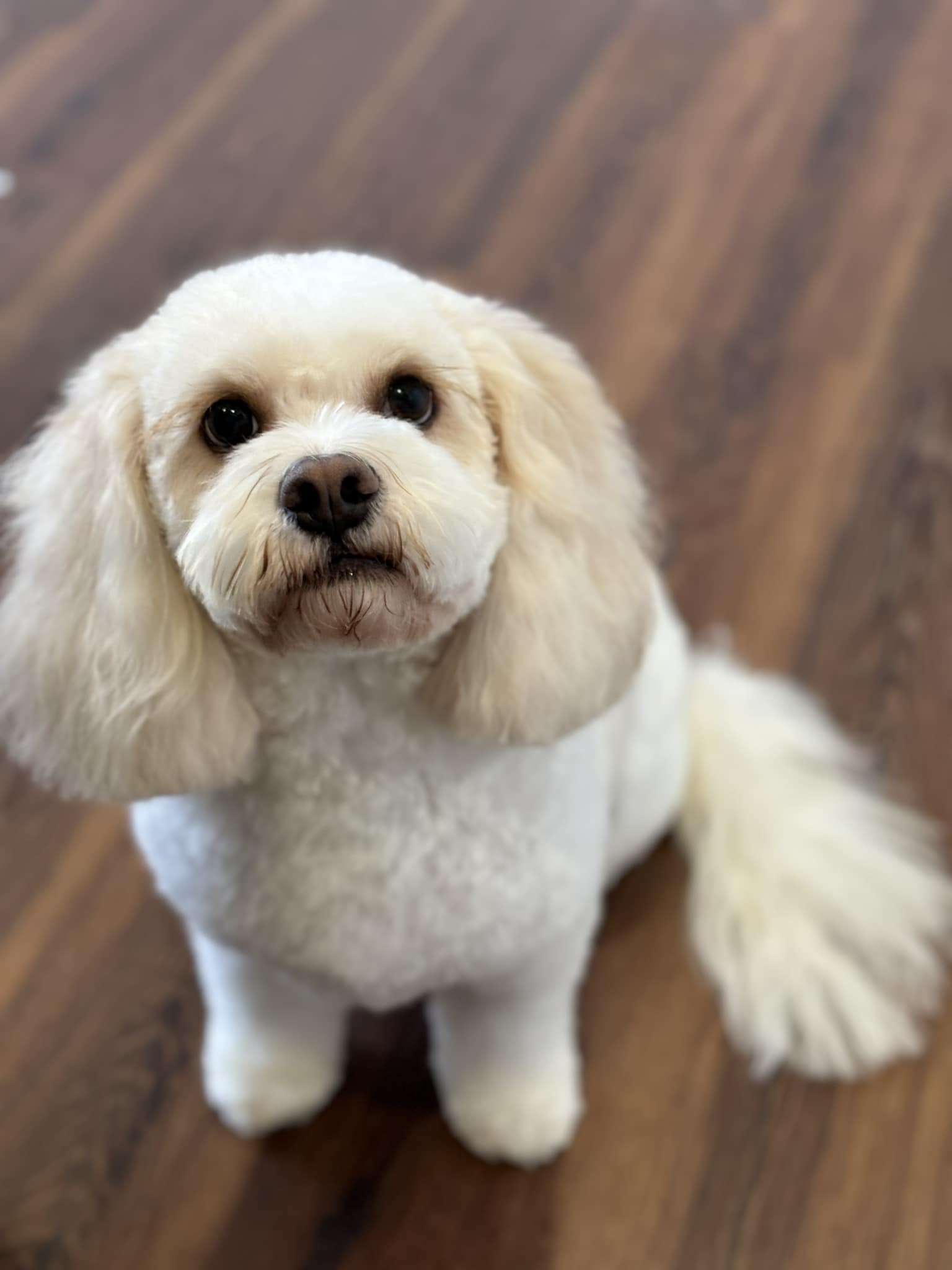 Emmas Little Groom Room 4