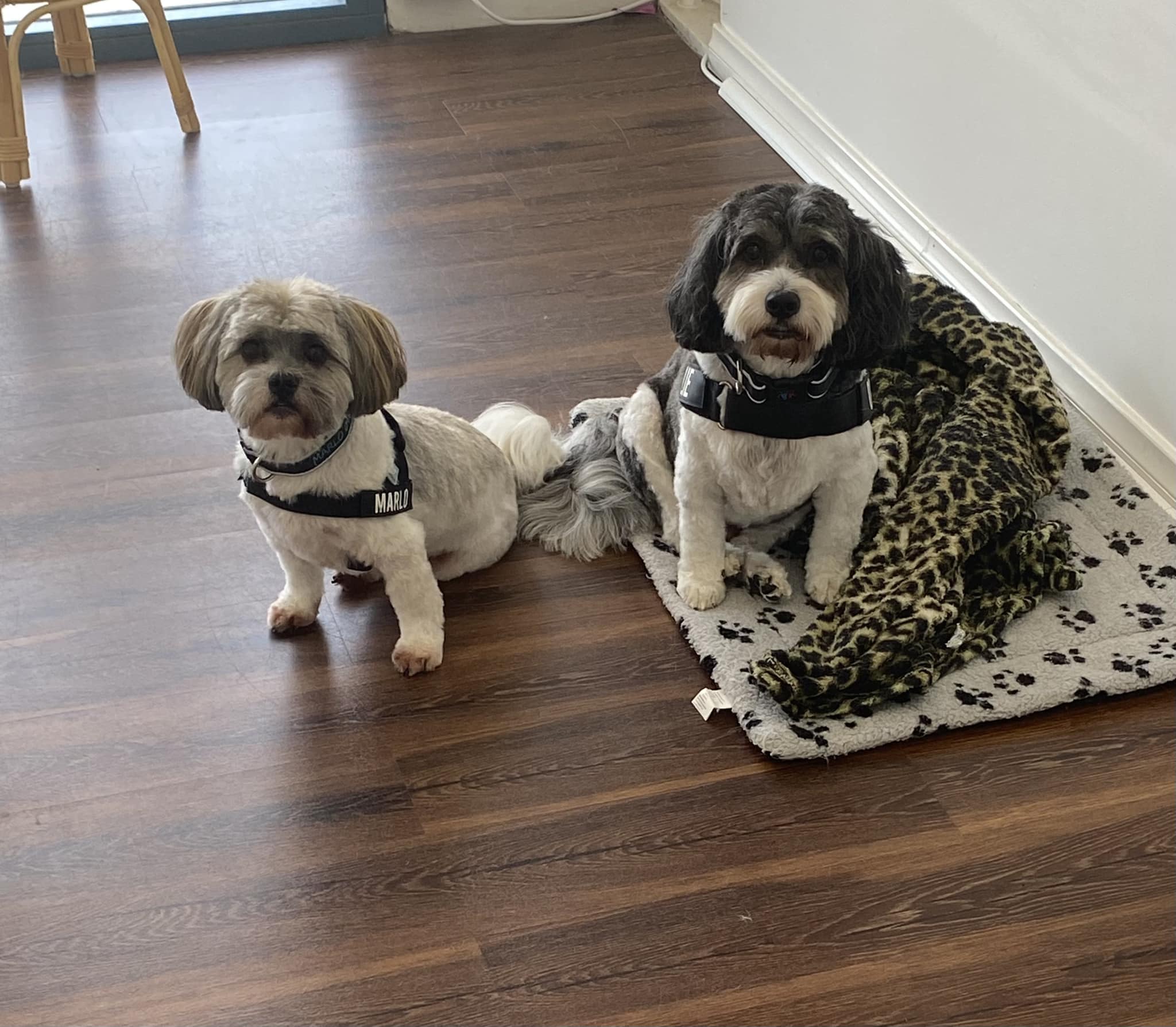 Emmas Little Groom Room 7