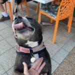 Essence Cafe 1 150x150