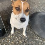 Essence Cafe 2 150x150