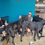 Essence Cafe 3 150x150